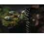 Pluviomètre grenouille en métal recyclé - ARR-0127