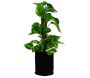 Pot de plantation textile 1.5 litres - 