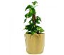 Pot de plantation en textile sable 25 litres - 