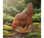 Poule en résine picorant 26 cm - 