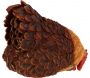 Poules décoratives à poser en polyrésine (Lot de 3) - 96,90