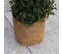 Protection coco en rouleau 50 x 150 cm - GARDEN TOOLS