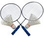 Raquettes de badminton géantes avec volants