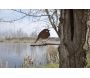 Oiseau à planter rouge gorge en acier corten - 40,90