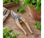 Sécateur pour plantes d'intérieur en acier inoxydable - GARDEN TOOLS