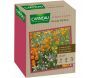 Semence 5 mois de fleurs 15 m²