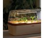 Serre d'intérieur Boqube plus led - 