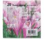 Serviette en papier de soie avec motifs (Lot de 20) - 1,95