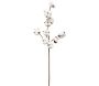 Set de 3 branches de coton 70 cm