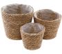 Set de 3 cache-pots en jacinthe