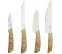 Set 4 couteaux avec support aimanté  Pradel - 26,90