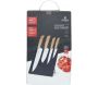 Set 4 couteaux avec support aimanté  Pradel - 5