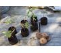 Set de 50 poches de plantation en filet - GAM-0381