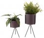 Set de 2 supports à plantes ronds Pedestal - PT