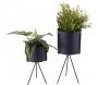 Set de 2 supports à plantes ronds Pedestal - PT