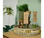 Set de 3 tubes avec plantes aquatiques - 34,90