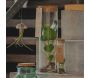 Set de 3 tubes avec plantes aquatiques - 5