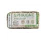 Sphaigne du Chili 250gr - 