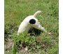 Statuette chien bob le creuseur - 7