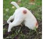 Statuette chien bob le creuseur - 29,90