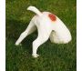 Statuette chien bob le creuseur - 5