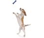 Stick chien en plastique coloré 15 cm - CMP-1572