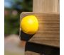 Structure de jeux en bois avec balançoire double Lucas - 476,10