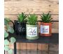 Succulentes artificielles dans pots colorés 17 cm (Lot de 3) - LIGNE DECO
