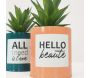 Succulentes artificielles dans pots à message 17 cm (Lot de 2) - SOV-0185