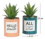 Succulentes artificielles dans pots à message 17 cm (Lot de 2) - 10,44