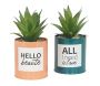 Succulentes artificielles dans pots à message 17 cm (Lot de 2)