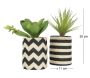 Succulentes dans pot en toile de jute 26 cm (Lot de 2) - SOV-0187