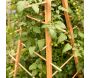 Support en bois de pin pour plantes 4 piquets - ESSCHERTS GARDEN