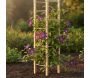 Support en bois de pin pour plantes 4 piquets - ESSCHERTS GARDEN