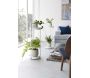 Support 2 niveaux pour plantes sur roulettes - 77,35