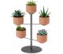 Support à plantes avec 5 pots Terrapotta - 72,90