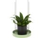 Support à plantes rond à suspendre vert
