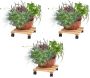 Support pour plantes à roulettes en pin brut (Lot de 3) - 5