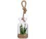 Suspensions en verre avec plantes artificielles 20 cm (Lot de 3) - 5