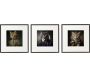 Tableau décoratif Animal head 40 x 40 cm (Lot de 3)