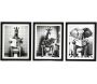 Tableau décoratif noir et blanc Safari Toilet (Lot de 3)