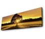 Tableau lumineux Arbre 30 x 90 cm - ASI-0122