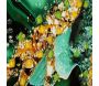 Tableau en toile et métal Smeraldy 82 x 4 x 62 cm - 5