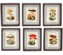 Tableaux décoratifs champignons 30 x 40 cm (Lot de 6)