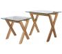 Tables gigognes carrées plateaux en verre trempé (Lot de 2)