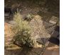 Tapis extérieur en polypropylène Magda naturel - 7