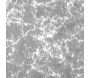 Tapis imitation fourrure argentée 120 x 170 cm - 5