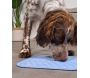 Tapis à lécher pour chien en silicone 30 x 30 cm - ZOLUX