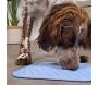 Tapis à lécher pour chien en silicone 20 x 20 cm - ZOLUX
