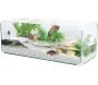 Terrarium pour tortue aquatique Karapas pro 70 litres